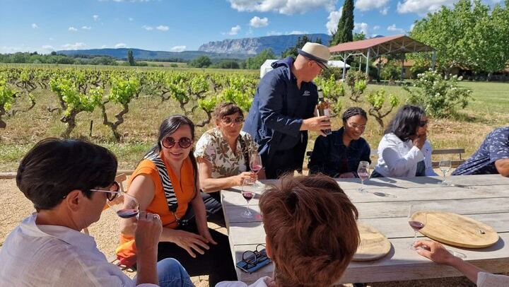 Half-Day Côtes de Provence Wine Tour from Aix-en-Provence, Two Traditional Wineries (3/9)