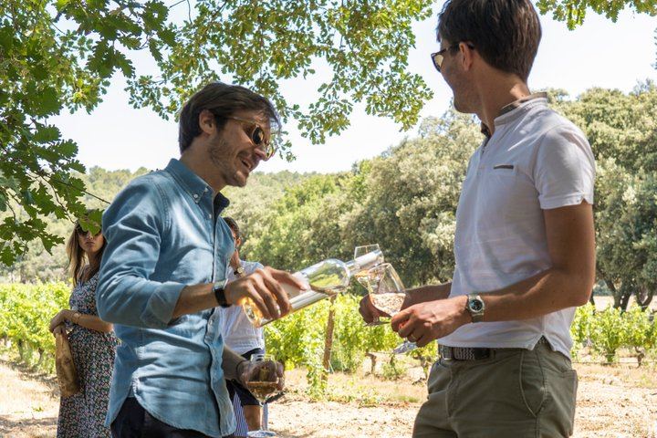 Half-Day Côtes de Provence Wine Tour from Aix-en-Provence, Two Traditional Wineries (7/9)