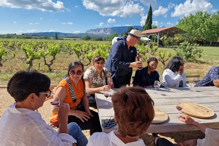 Half-Day Côtes de Provence Wine Tour from Aix-en-Provence, Two Traditional Wineries (3/9)