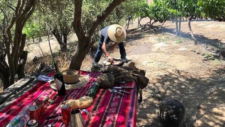 Private Horseback Wine Tour from Santiago: Organic Wine and Country Grill (4/12)