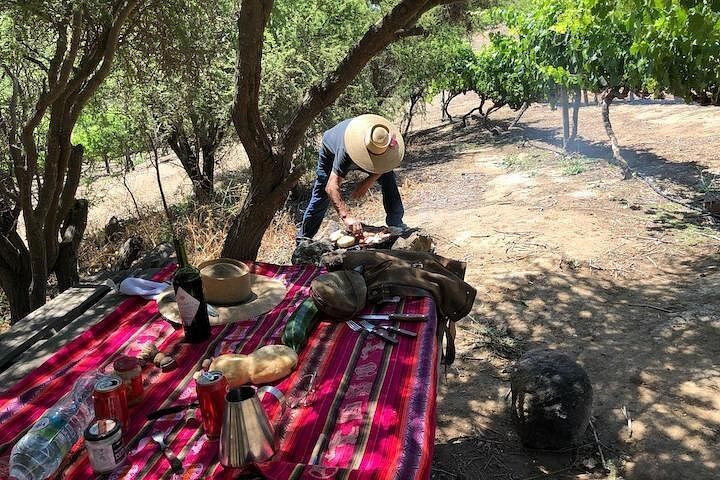 Private Horseback Wine Tour from Santiago: Organic Wine and Country Grill (4/12)