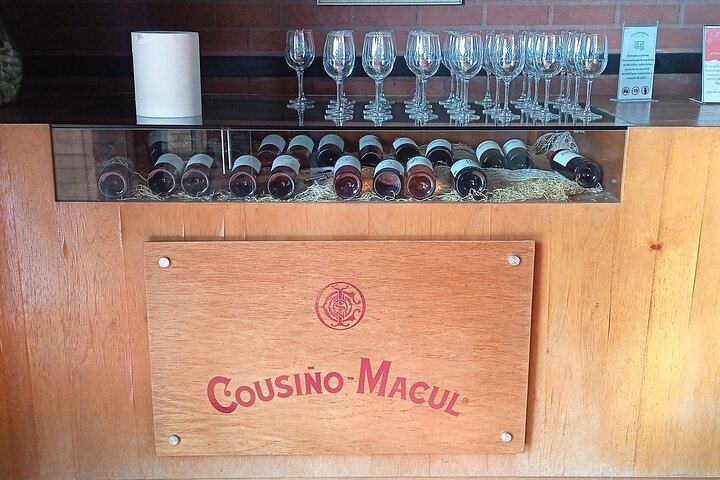 Private Cousiño Macul Premium Tasting from Santiago: 1887 Cellars, 7 Wines (8/12)