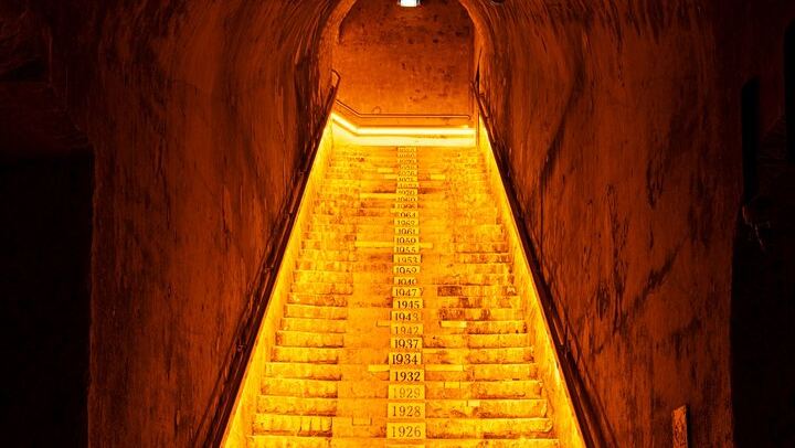 Private 8-Hour Champagne Tour from Reims or Épernay with Veuve Clicquot Tasting (1/8)
