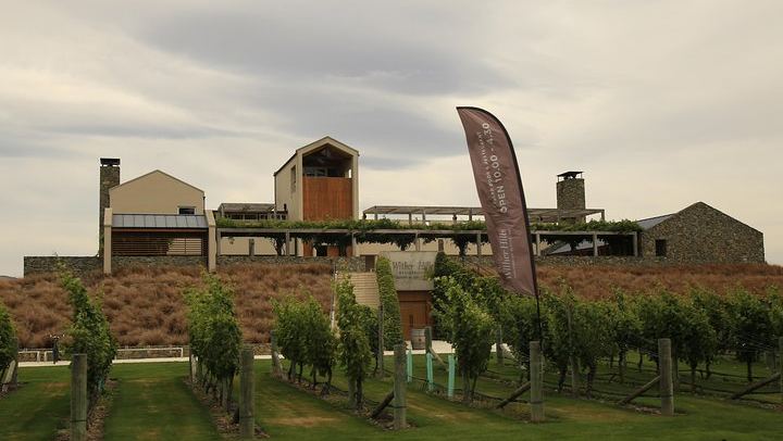Marlborough Hop-On Hop-Off Wine Tour for Cruise Ship Passengers, 25 Stops (2/8)