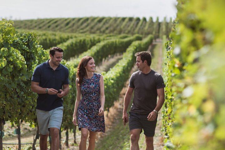 Marlborough Hop-On Hop-Off Wine Tour for Cruise Ship Passengers, 25 Stops (5/8)