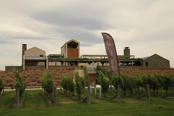 Marlborough Hop-On Hop-Off Wine Tour for Cruise Ship Passengers, 25 Stops (2/8)