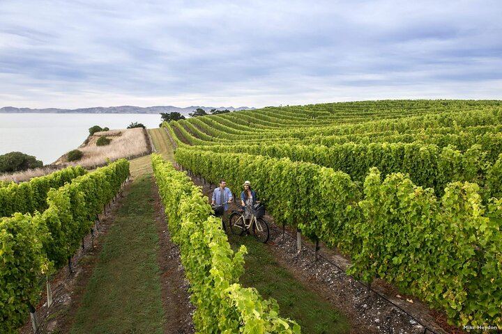 Marlborough Hop-On Hop-Off Wine Tour for Cruise Ship Passengers, 25 Stops (6/8)