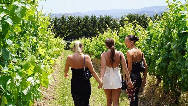 Cruise Ship Friendly Yarra Valley Wine Tour with Port Melbourne Pickup and Gin Stop (1/7)