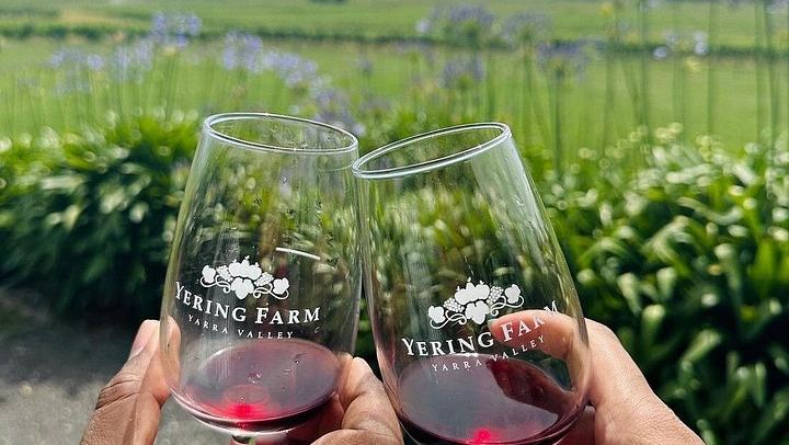 Cruise Ship Friendly Yarra Valley Wine Tour with Port Melbourne Pickup and Gin Stop (2/7)