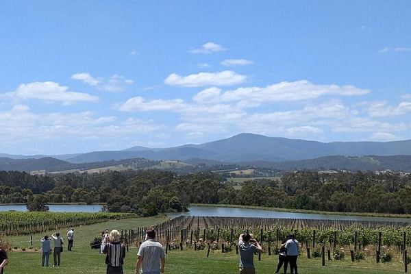 Cruise Ship Friendly Yarra Valley Wine Tour with Port Melbourne Pickup and Gin Stop
