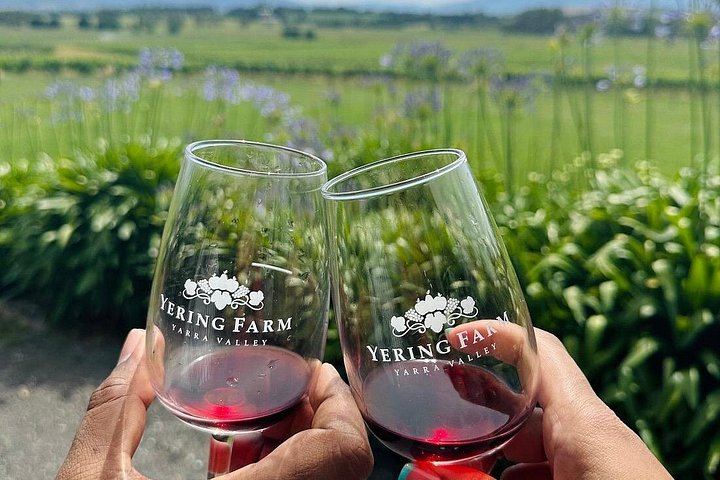 Cruise Ship Friendly Yarra Valley Wine Tour with Port Melbourne Pickup and Gin Stop (2/7)
