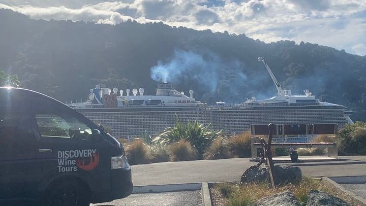 Picton Cruise Shore Excursion: Small-Group Marlborough Cellar Doors, Discovery Wine Tours (4/10)
