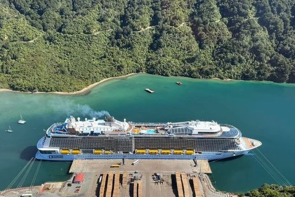 Picton Cruise Shore Excursion: Small-Group Marlborough Cellar Doors, Discovery Wine Tours