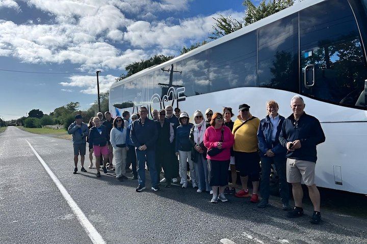 Picton Cruise Shore Excursion: Small-Group Marlborough Cellar Doors, Discovery Wine Tours (5/10)