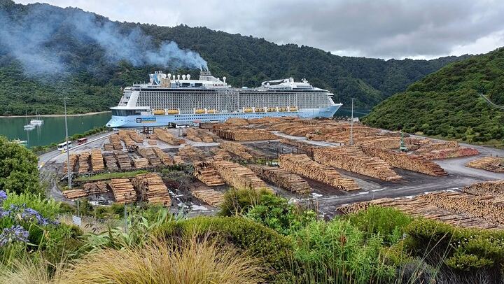 Picton Cruise Shore Excursion: Small-Group Marlborough Cellar Doors, Discovery Wine Tours (2/10)