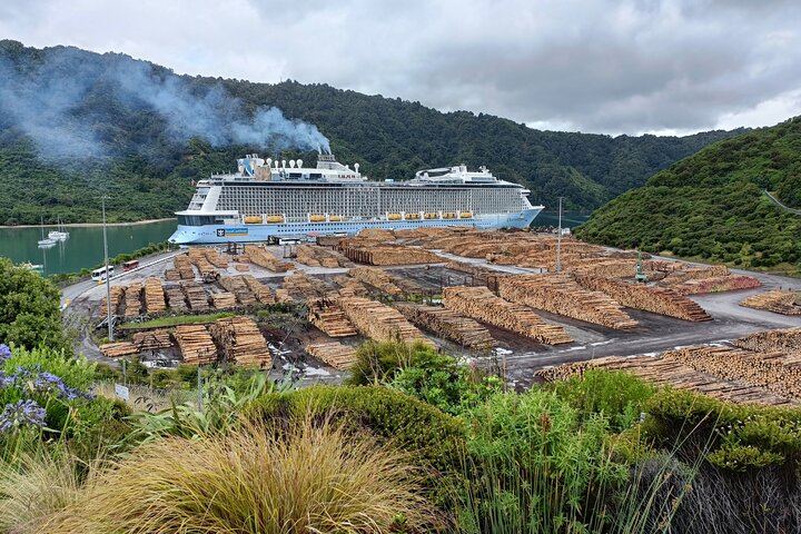 Picton Cruise Shore Excursion: Small-Group Marlborough Cellar Doors, Discovery Wine Tours (2/10)