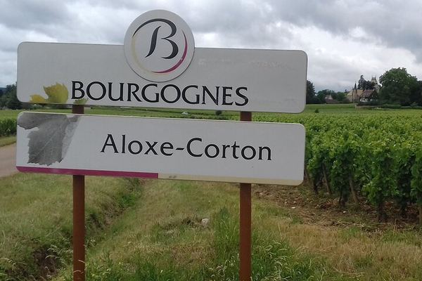 Custom-Planned Burgundy Vineyard Day with Private Driver, Beaune and Dijon