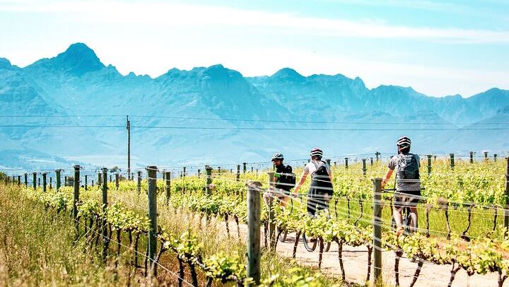 Stellenbosch Half-Day Mountain Bike Winelands Tour with Wine Tasting Stops (2/5)