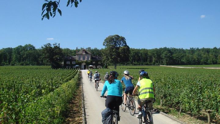 Burgundy Bike and Wine Tour: Downhill from Beaune with a Minivan Transfer and 4 Wines (1/12)
