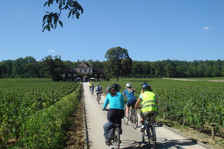 Burgundy Bike and Wine Tour: Downhill from Beaune with a Minivan Transfer and 4 Wines (1/12)