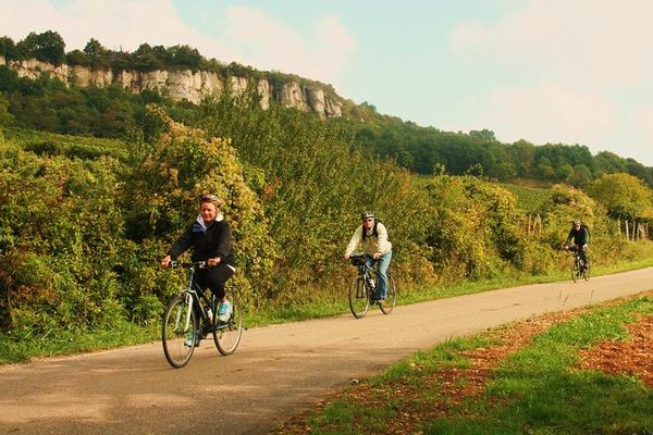 Burgundy Bike and Wine Tour: Downhill from Beaune with a Minivan Transfer and 4 Wines