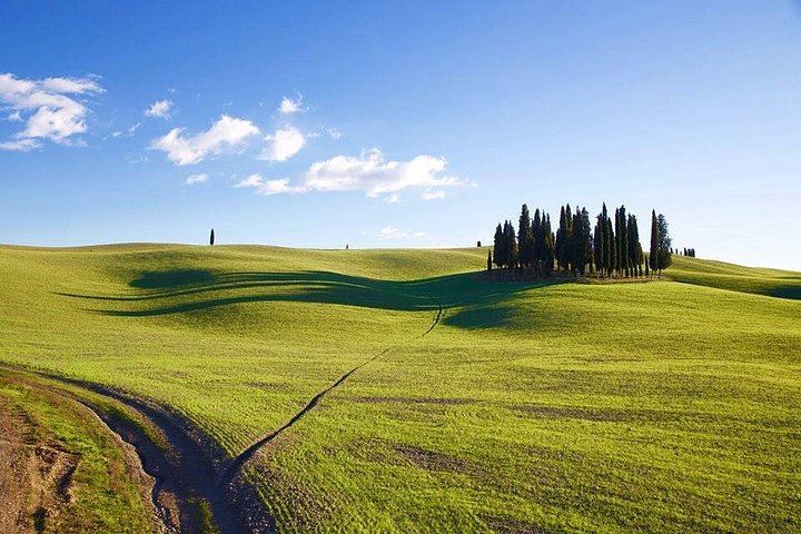 Brunello and Vino Nobile Tour: Montalcino, Montepulciano and Pienza Pecorino (6/12)