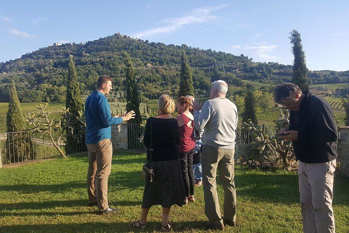 Small-Group Brunello and Montepulciano Wine Day from Cortona in a 9-Seat Minivan (5/12)