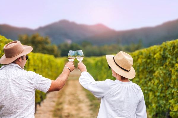 Jade Tours Day of Wine in Marlborough: Small Group, Led by a Winery Founder