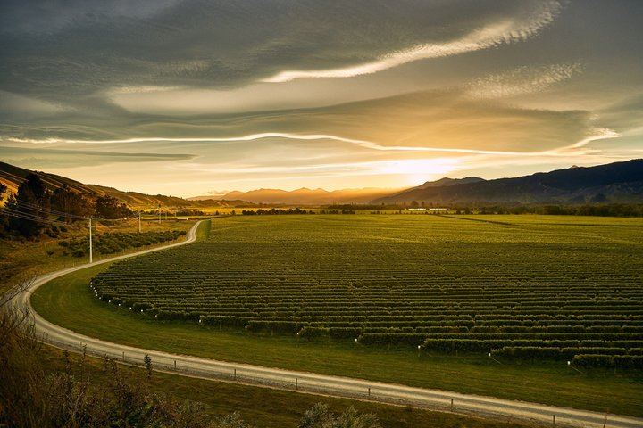 Jade Tours Day of Wine in Marlborough: Small Group, Led by a Winery Founder (8/12)