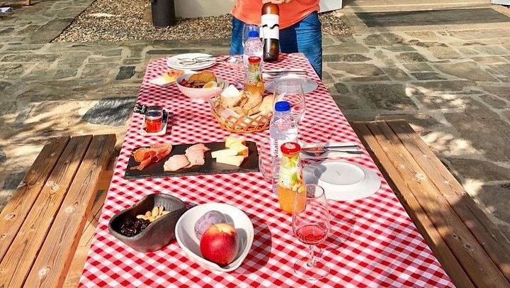 Private Douro Trip from Porto: Galafura Viewpoint, Vineyard Walk, Lunch Stop, Val Moreira (4/6)