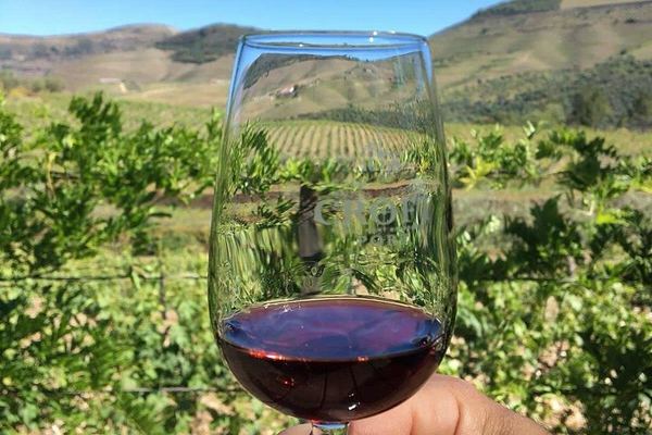 Private Douro Trip from Porto: Galafura Viewpoint, Vineyard Walk, Lunch Stop, Val Moreira