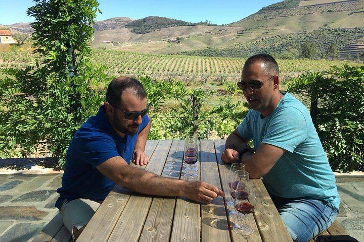 Private Douro Trip from Porto: Galafura Viewpoint, Vineyard Walk, Lunch Stop, Val Moreira (6/6)