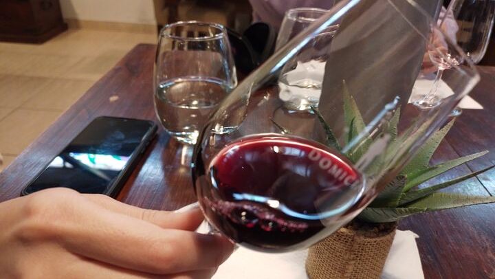 Maipú Afternoon Excursion: Three Wineries and an Olive Mill with Tastings (1/12)