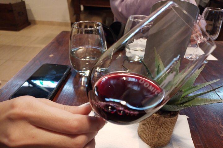 Maipú Afternoon Excursion: Three Wineries and an Olive Mill with Tastings (1/12)