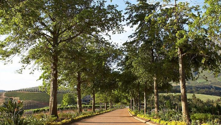 Private Wine Tasting at Tokara, Delaire Graff and Fairview in the Cape Winelands (2/10)