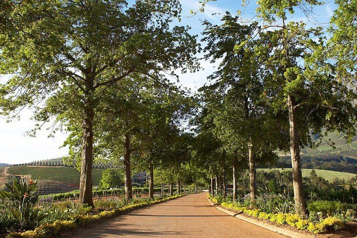 Private Wine Tasting at Tokara, Delaire Graff and Fairview in the Cape Winelands (2/10)