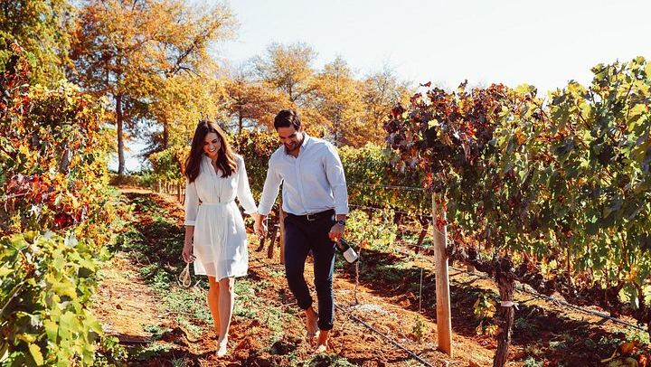 Private Cape Winelands Day from Cape Town: DeMorgenzon, Marianne, Fairview, Delaire Graff (3/12)