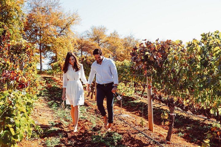 Private Cape Winelands Day from Cape Town: DeMorgenzon, Marianne, Fairview, Delaire Graff (3/12)