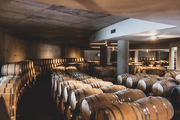 Private Luxury Uco Valley Day: Clos de los Siete, Piedra Negra and La Morada Lunch (3/12)