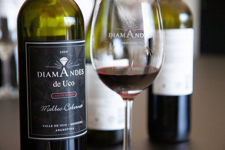 Private Luxury Uco Valley Day: Clos de los Siete, Piedra Negra and La Morada Lunch (1/12)