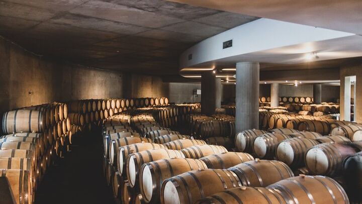 Private Luxury Uco Valley Day: Clos de los Siete, Piedra Negra and La Morada Lunch (3/12)