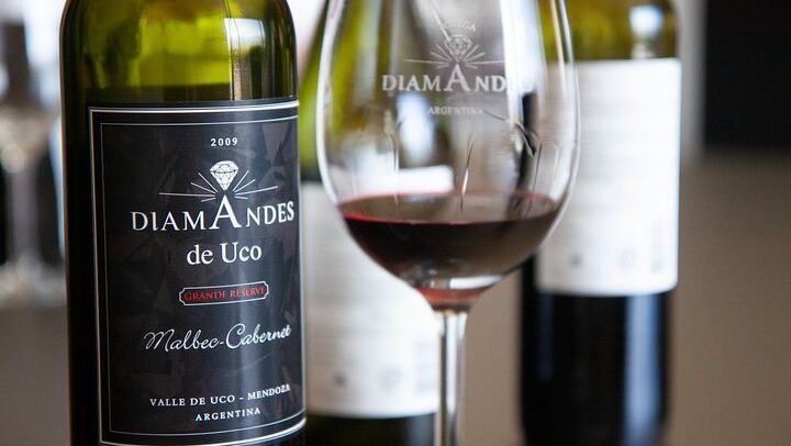 Private Luxury Uco Valley Day: Clos de los Siete, Piedra Negra and La Morada Lunch (1/12)