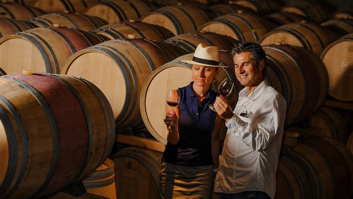 Dijon Full-Day Wine Tour: Three Tastings in the Côte de Nuits and Côte de Beaune (2/8)
