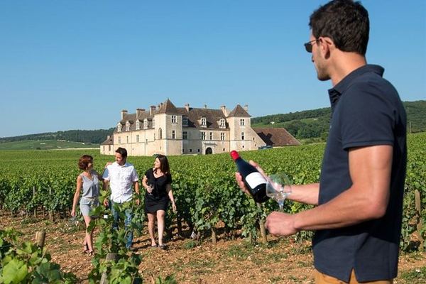 Dijon Full-Day Wine Tour: Three Tastings in the Côte de Nuits and Côte de Beaune