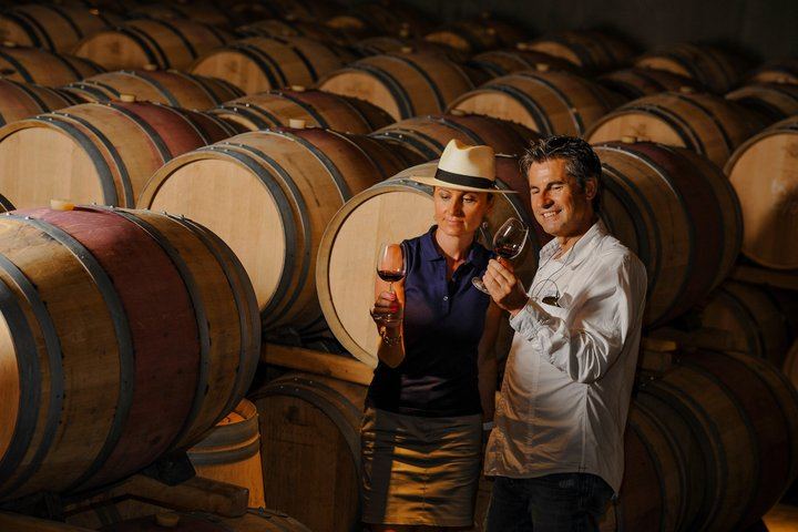 Dijon Full-Day Wine Tour: Three Tastings in the Côte de Nuits and Côte de Beaune (2/8)