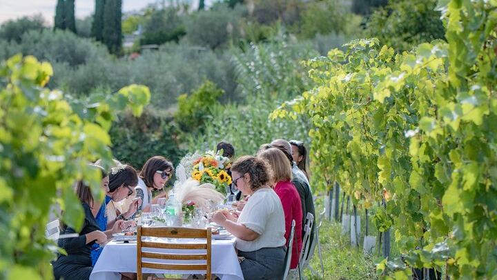 French Riviera Vineyard Dinner or Lunch with Wine Masterclass, Sea Views and Live Music (1/12)