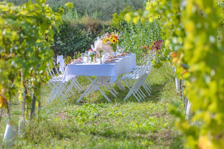 French Riviera Vineyard Dinner or Lunch with Wine Masterclass, Sea Views and Live Music (5/12)
