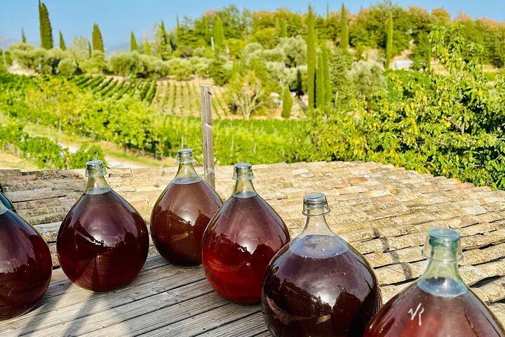 French Riviera Vineyard Dinner or Lunch with Wine Masterclass, Sea Views and Live Music (12/12)