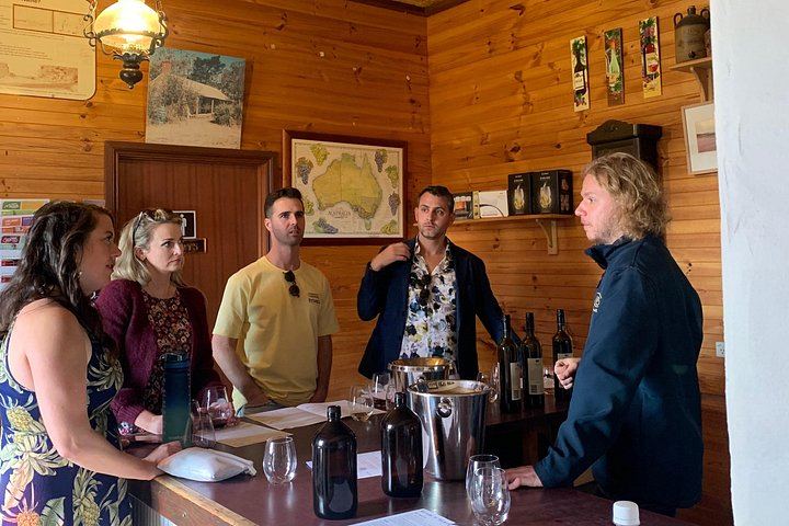 Barossa Shared Bus Tour from Adelaide: Four Tastings, Seppeltsfield and Gourmet Lunch (1/12)