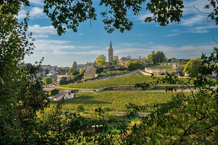 Private Saint-Émilion and Pomerol Day: Grand Cru Classé Château, WSET Guide, Village Walk (6/6)